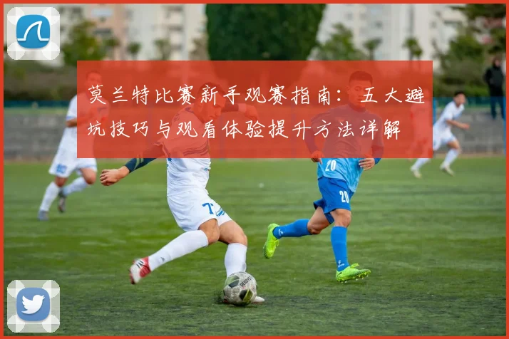 莫兰特比赛新手观赛指南:五大避坑技巧与观看体验提升方法详解